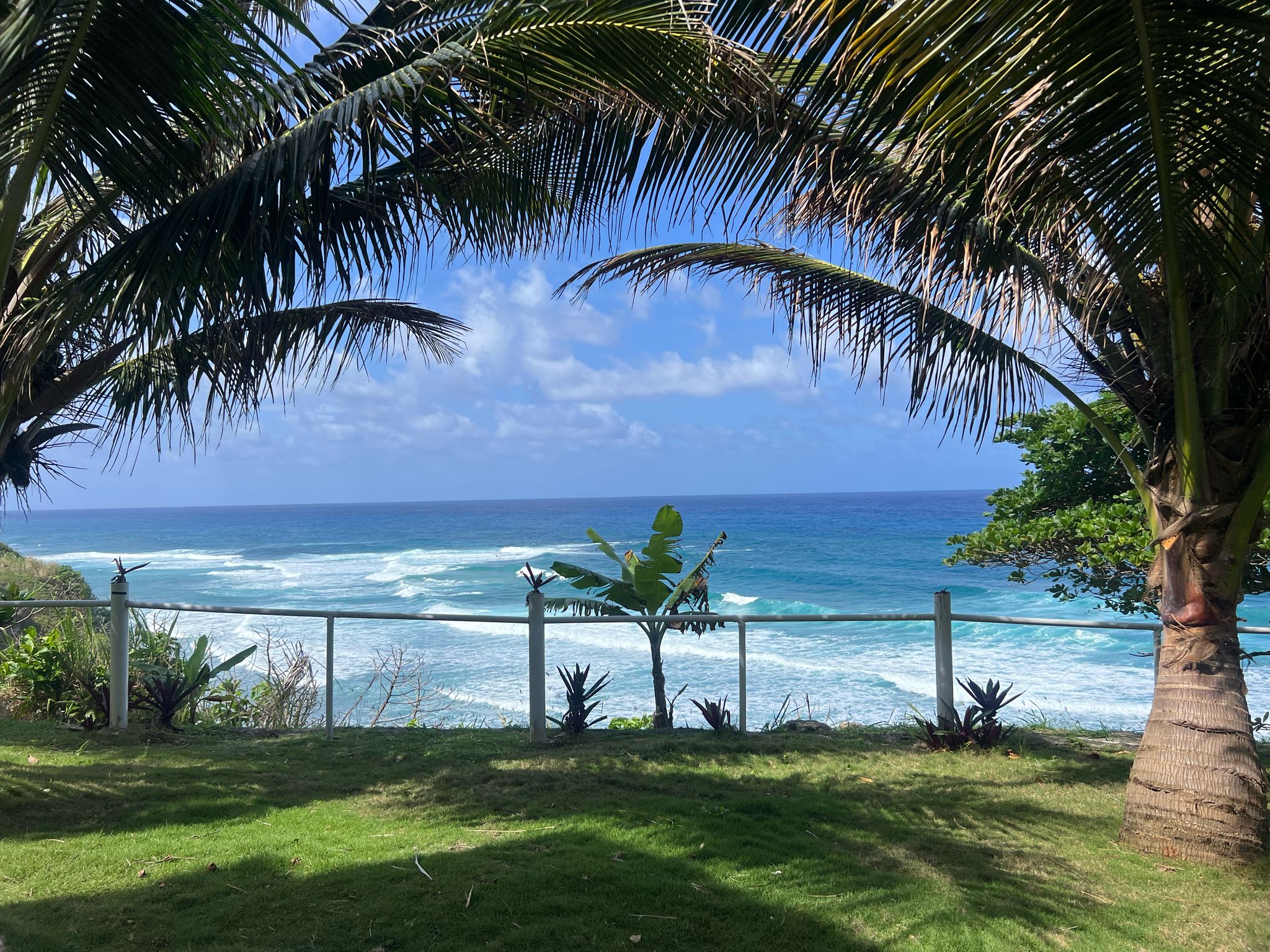 Sea Cliff Resort View